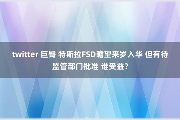 twitter 巨臀 特斯拉FSD瞻望来岁入华 但有待监管部门批准 谁受益？