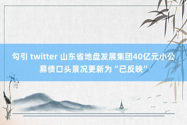 勾引 twitter 山东省地盘发展集团40亿元小公募债口头景况更新为“已反映”