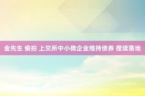 金先生 偷拍 上交所中小微企业维持债券 捏续落地