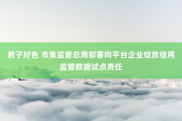 君子好色 市集监管总局部署向平台企业绽放信用监管数据试点责任