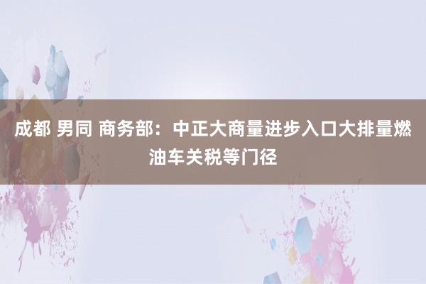 成都 男同 商务部：中正大商量进步入口大排量燃油车关税等门径