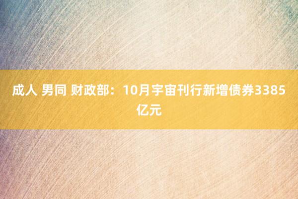 成人 男同 财政部：10月宇宙刊行新增债券3385亿元