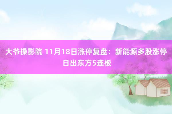 大爷操影院 11月18日涨停复盘：新能源多股涨停 日出东方5连板