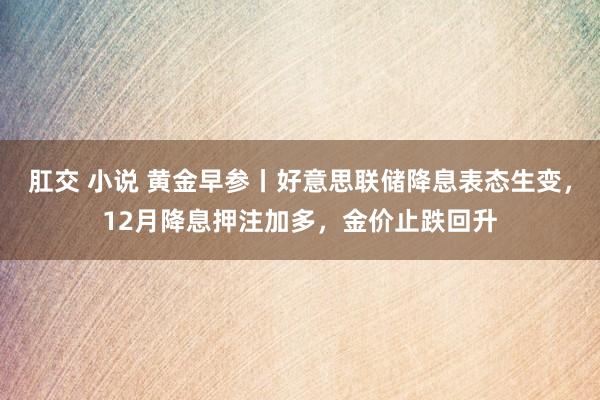 肛交 小说 黄金早参丨好意思联储降息表态生变，12月降息押注加多，金价止跌回升