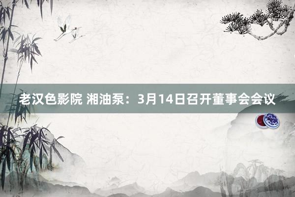 老汉色影院 湘油泵：3月14日召开董事会会议
