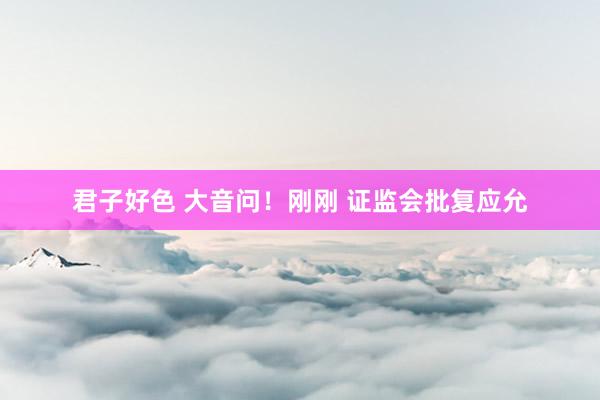 君子好色 大音问！刚刚 证监会批复应允