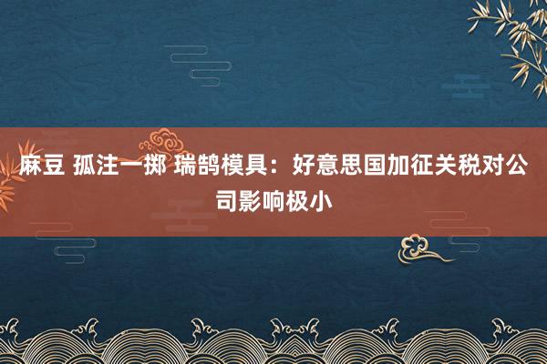 麻豆 孤注一掷 瑞鹄模具：好意思国加征关税对公司影响极小