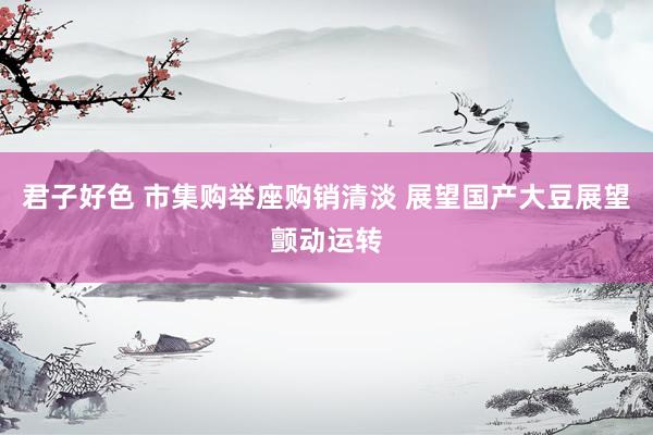 君子好色 市集购举座购销清淡 展望国产大豆展望颤动运转